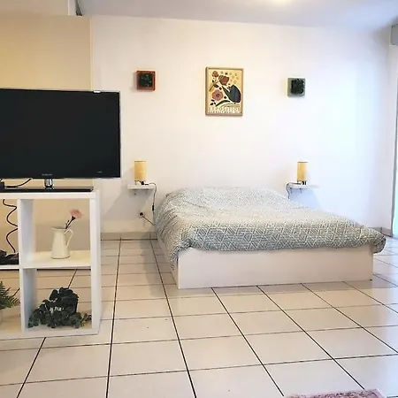 Apartament Grand Lumineux Et Sa Terrasse Au Calme