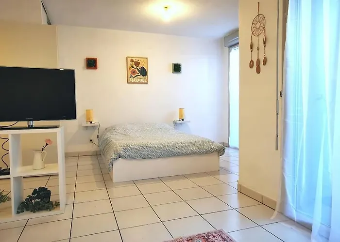 Grand Lumineux Et Sa Terrasse Au Calme Apartman Toulouse