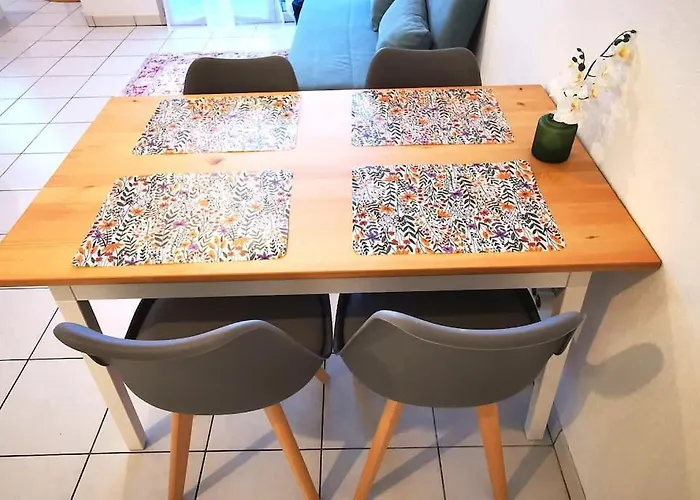 Grand Lumineux Et Sa Terrasse Au Calme Toulouse