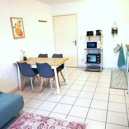 Grand Lumineux Et Sa Terrasse Au Calme * טולוז