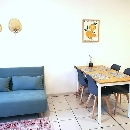 Grand Lumineux Et Sa Terrasse Au Calme דירה טולוז