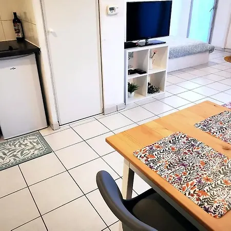 Grand Lumineux Et Sa Terrasse Au Calme 툴루즈