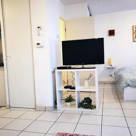 Grand Lumineux Et Sa Terrasse Au Calme * 툴루즈