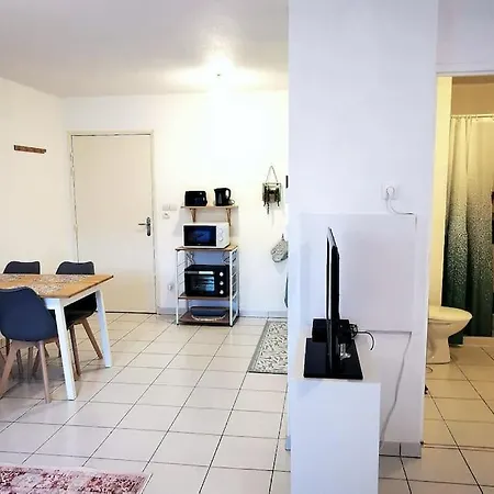 Grand Lumineux Et Sa Terrasse Au Calme * Τουλούζη