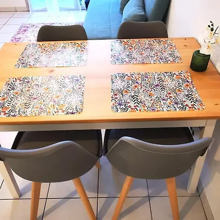 Grand Lumineux Et Sa Terrasse Au Calme 툴루즈