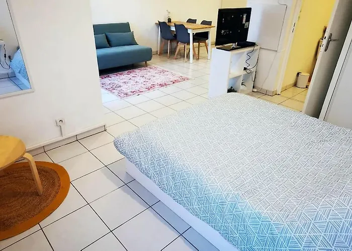 Διαμέρισμα Grand Lumineux Et Sa Terrasse Au Calme Τουλούζη