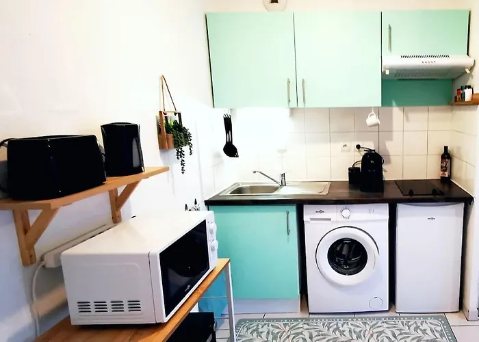 Grand Lumineux Et Sa Terrasse Au Calme * Τουλούζη