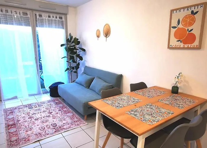 Grand Lumineux Et Sa Terrasse Au Calme Τουλούζη