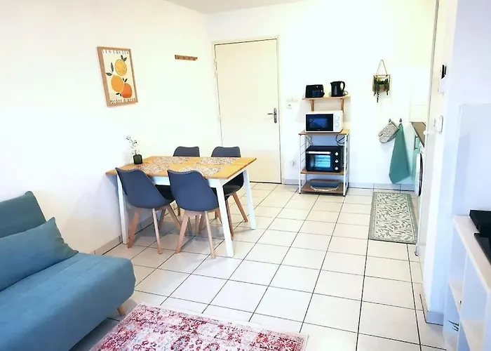 Grand Lumineux Et Sa Terrasse Au Calme * Τουλούζη