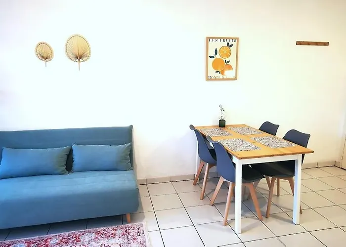 Grand Lumineux Et Sa Terrasse Au Calme Апартаменты Тулуза