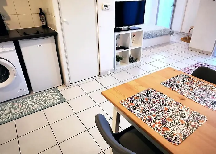 Grand Lumineux Et Sa Terrasse Au Calme Τουλούζη