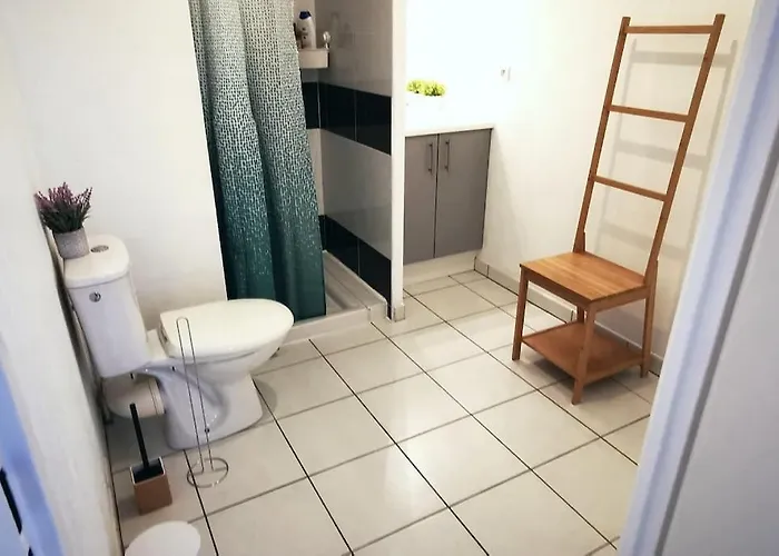 Grand Lumineux Et Sa Terrasse Au Calme * Τουλούζη