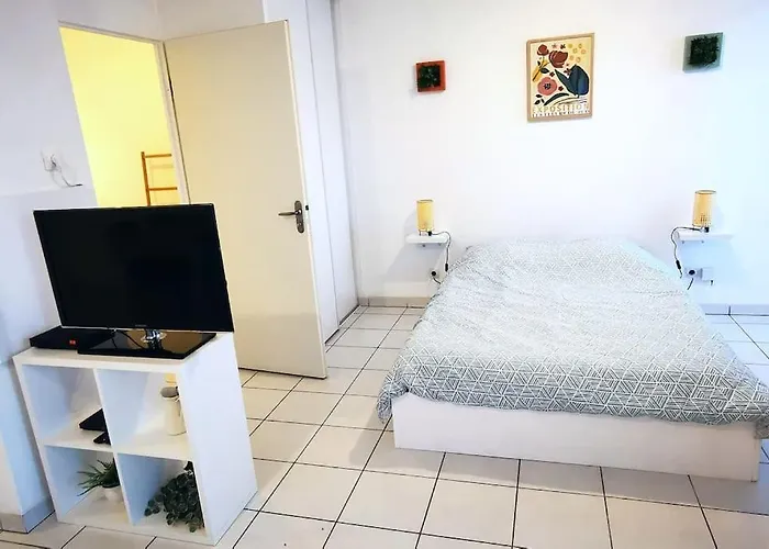 Grand Lumineux Et Sa Terrasse Au Calme