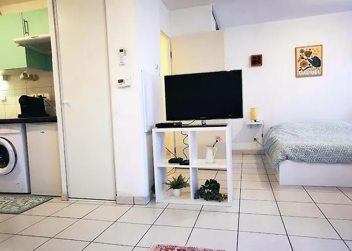 Grand Lumineux Et Sa Terrasse Au Calme * Τουλούζη