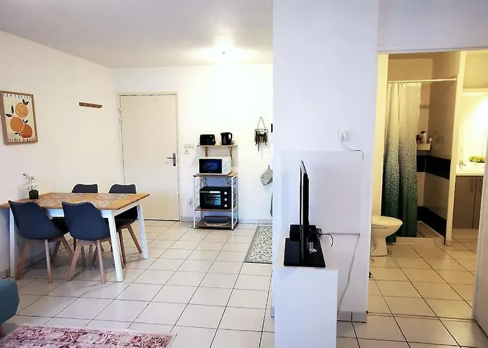 Grand Lumineux Et Sa Terrasse Au Calme * Τουλούζη