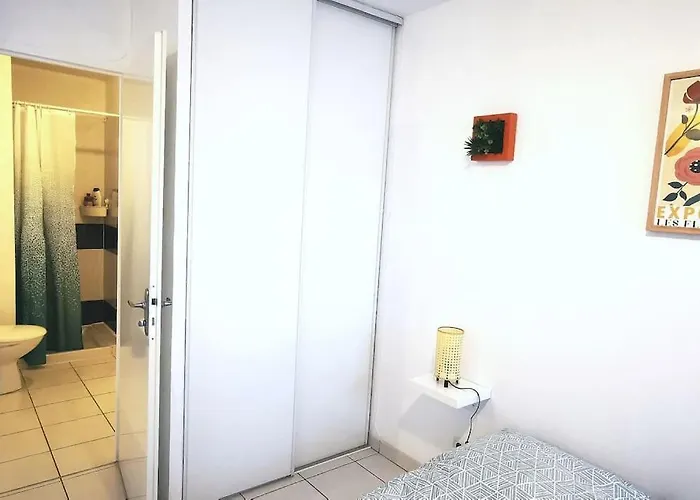 Апартаменты Grand Lumineux Et Sa Terrasse Au Calme Тулуза